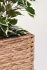 VIVANNO Pot de fleurs jacinthe d'eau ASIA cube, naturel Voir les images du produit 5