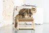 Designed by Lotte Arbre à chat avec support Yves 36x29,5x28 Voir les images du produit 5