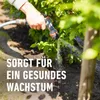 COMPO Bäume,Hecken, Sträucher Langzeit-Dünger - 2 kg für Produktbild-Vorschau 12