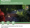 Paulmann Plug & Shine Faretto da giardino a LED Plantini Anteprima dell’immagine prodotto 6