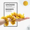 A hand holding a golden dragon figurine, with text overlays. Produktbild-Vorschau
