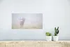 MuchoWow® Poster Hirsche - Gras - Nebel 40x20 cm - Poster Produktbild-Vorschau 5