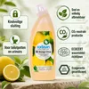 WC Reiniger Citrus 750ml – Natuurlijke Toilet Reiniger met Productafbeelding-voorbeeld 7