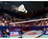Verk 14716 Badmintonové pierkové loptičky, sada 12 ks, Náhľad obrázku produktu 14
