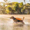 Non-stop dogwear Protector Life Jacket | 1732 | Produktbild-Vorschau 11