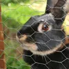 Izrielar šestihranná síť drátěná klec drátěná klec 1x 25 m Náhled obrázku produktu 10