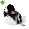 Peluche King Charles Spaniel Con Guinzaglio 27 Cm Eco-f. Anteprima dell’immagine prodotto 7