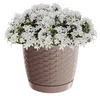 Ratolla Runder Blumentopf - Mocca - Pp-Drlo250M Produktbild-Vorschau 7