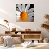 Bild auf Leinwand - Leinwandbild - Kraut Kamille Blume Produktbild-Vorschau 7