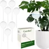 Kulki nawadniające - 8 szt. Gardłowa 21043 Podgląd zdjęcia produktu 1