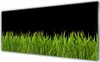 Acrylglasbilder 125x50 Wandbild Druck Gras Natur Produktbild-Vorschau 1