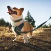 Ruffwear 3072-444S, Hund, Zugfreier Gurt, S, Türkis, Nylon, Produktbild-Vorschau 5