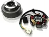 Stator zapalovací svíčky 6 kusů + magneto 139 FMB 4T Quad Náhled obrázku produktu 1