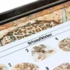 Gloomhaven - Die Pranken des Löwen Produktbild-Vorschau 7