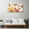 Acrylglasbilder 100x50 Wandbild Druck Seesterne Muscheln Produktbild-Vorschau 3