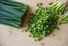 SAFLAX - BIO - Frühlingszwiebel - Japanische Ishikura - 150 Produktbild-Vorschau 8
