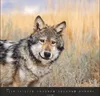 Wandkalender 2027: Wölfe – Beeindruckende Naturfotografie Produktbild-Vorschau 14