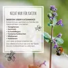 Katzenminze Samen Saatband 80 x 10 cm (Nepeta cataria) - Produktbild-Vorschau 6