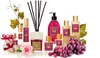 A collection of Acqua di Bolgheri fragrance products, including diffusers, lotions, and soaps, arranged with decorative elements like grapes and a rose. Voir les images du produit
