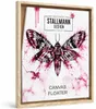 Stallmann Design Schattenfugenrahmen 90x90 cm | Farbe: Produktbild-Vorschau 1