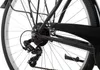Adler Stanford Citybike schwarz 55 Produktbild-Vorschau 2