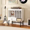 Soporte para tocadiscos COSTWAY, mueble de almacenamiento Vista previa de la imagen del producto 8