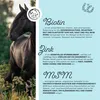 Biotin Liquid 1 L - Biotin für Pferde - Biotin Pferd Produktbild-Vorschau 5