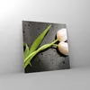 Bilder auf glas - Tulpen Blume Pflanzung Pflanze - 50x50cm Produktbild-Vorschau 4