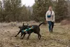 Ruffwear Pacific Loop Spielzeug Aurora Teal Produktbild-Vorschau 11