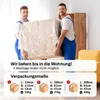 MOTIVENA Santiago Boxspringbett 120x200 Grün Samt (Kronos Produktbild-Vorschau 8