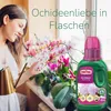 SUBSTRAL® 73940 SUBSTRAL® Orchideen-Nahrung Orchideendünger Podgląd zdjęcia produktu 8
