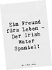 Mr. & Mrs. Panda Postkarte Spruch Irish Water Spaniel Produktbild-Vorschau 1