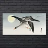 Coloray Bild aus Glas 140x70 glasblock mit bild gehärtetes Produktbild-Vorschau 2