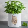 Mr. & Mrs. Panda Übertopf Eule Federschmuck - Weiß - Produktbild-Vorschau 2