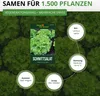 Schnittsalat Verde ricciolina da taglio Samen - Lactuca Produktbild-Vorschau 3