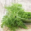 Dill Dillsamen Früh Zum Beizen 5G Produktbild-Vorschau 14