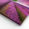 Bild auf Leinwand - Leinwandbild - Wiese lavenda Sommer Produktbild-Vorschau 5
