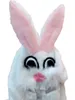 Hasen Kostüm für Kinder Kleid Gr. 104-140 weiß Tier Fasching Karneval Mottoparty Ostern Osterhase Mädchen Produktbild-Vorschau