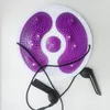 Waist Twister, Waist Twister Plate, Twist Waist Disc, Waist Náhled obrázku produktu 5