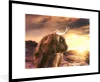MuchoWow® Gerahmtes Poster Schottischer Hochländer - Sonne Produktbild-Vorschau 1