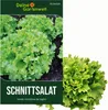 Schnittsalat Verde ricciolina da taglio Samen - Lactuca Produktbild-Vorschau 1