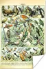 MuchoWow® Poster Tiere - Vintage - Adolphe Millot - Vögel - Produktbild-Vorschau 1