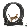 Mondeer Jouet intelligent pour animaux Tapis roulant pour Voir les images du produit 1