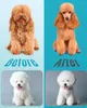 Oneisall Leise Hundeschermaschine, Profi Schermaschine Hund Produktbild-Vorschau 9
