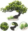 Akvarijní dekorace bonsai aquarium, dekorace do akvária, Náhled obrázku produktu 1
