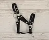 Nastaviteľná ohlávka Hobby Horse A3 - čierna Náhľad obrázku produktu 3