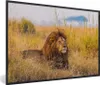 MuchoWow® MuchoWow® Gerahmtes Poster Männlicher Löwe im Produktbild-Vorschau 1