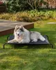 A husky dog lying on an elevated outdoor pet bed in a grassy yard. Anteprima dell’immagine prodotto