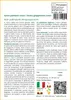 SAFLAX  - Acero palmato rosso / Acero giapponese rosso  - Anteprima dell’immagine prodotto 3