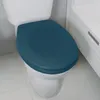 A close-up view of a toilet seat with a teal lid, placed on a white toilet bowl. Produktbild-Vorschau